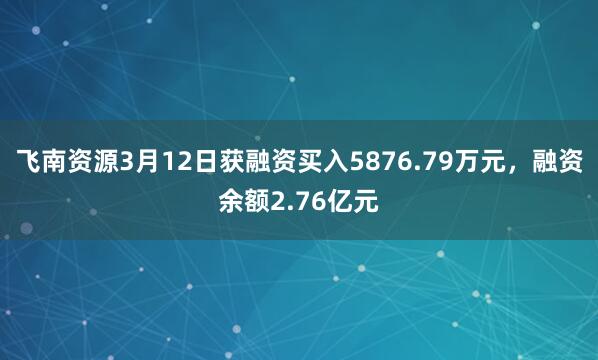 飞南资源3月12日获融资买入5876.79万元，融资余额2.76亿元