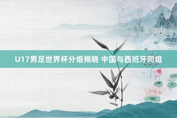 U17男足世界杯分组揭晓 中国与西班牙同组
