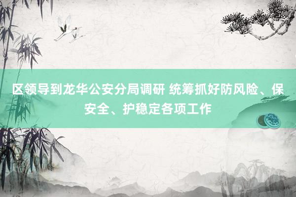 区领导到龙华公安分局调研 统筹抓好防风险、保安全、护稳定各项工作