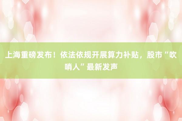 上海重磅发布！依法依规开展算力补贴，股市“吹哨人”最新发声