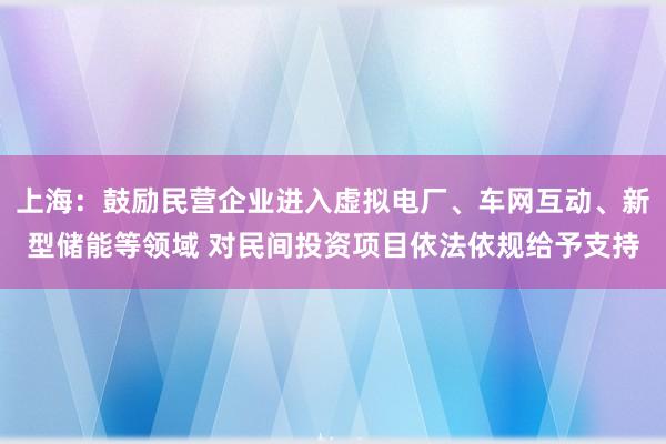 上海：鼓励民营企业进入虚拟电厂、车网互动、新型储能等领域 对民间投资项目依法依规给予支持