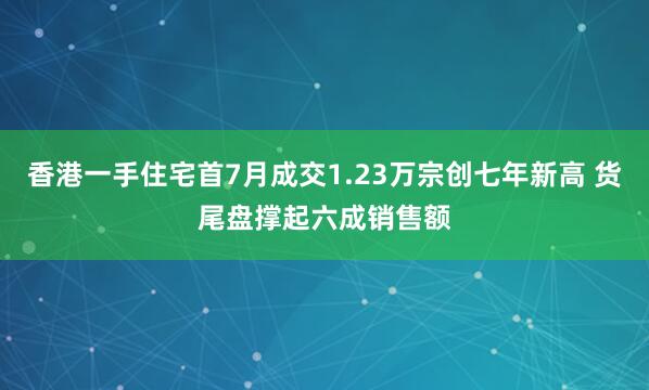 香港一手住宅首7月成交1.23万宗创七年新高 货尾盘撑起六成销售额