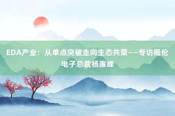 EDA产业：从单点突破走向生态共荣——专访概伦电子总裁杨廉峰