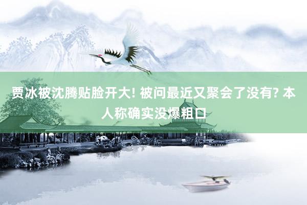 贾冰被沈腾贴脸开大! 被问最近又聚会了没有? 本人称确实没爆粗口