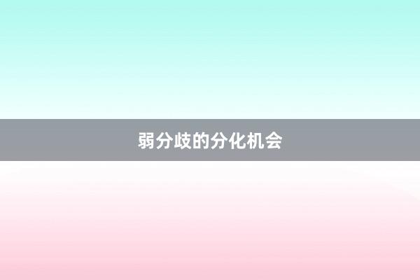 弱分歧的分化机会