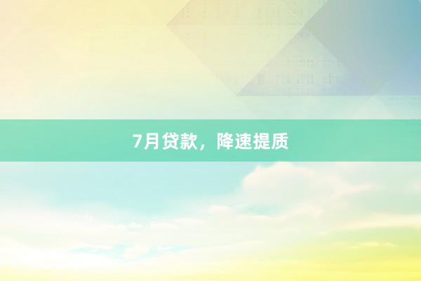 7月贷款，降速提质