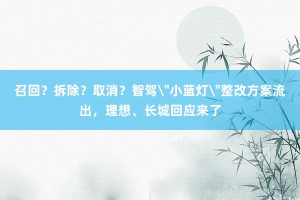 召回？拆除？取消？智驾＂小蓝灯＂整改方案流出，理想、长城回应来了