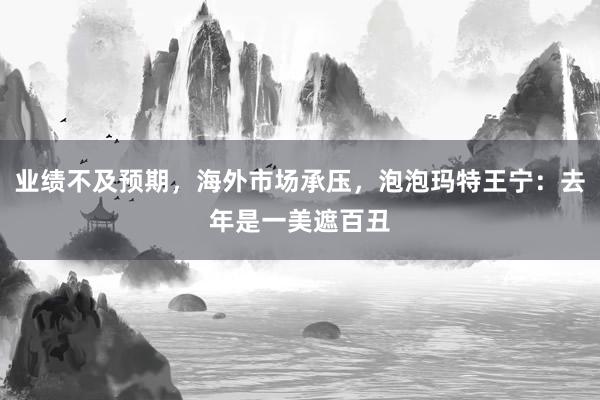 业绩不及预期，海外市场承压，泡泡玛特王宁：去年是一美遮百丑