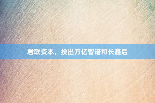 君联资本，投出万亿智谱和长鑫后