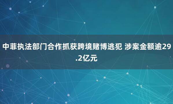 中菲执法部门合作抓获跨境赌博逃犯 涉案金额逾29.2亿元