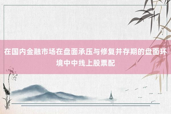 在国内金融市场在盘面承压与修复并存期的盘面环境中中线上股票配