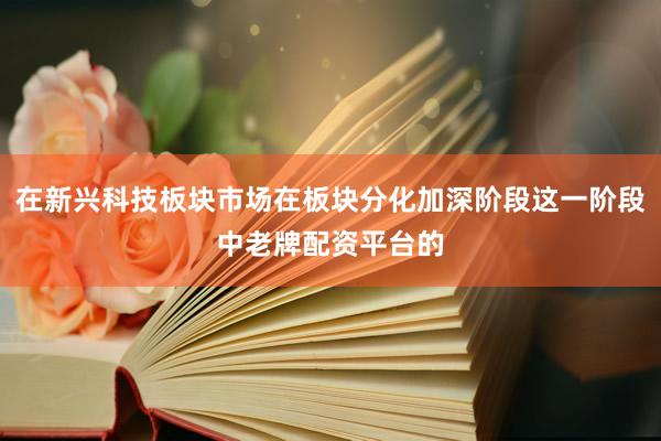 在新兴科技板块市场在板块分化加深阶段这一阶段中老牌配资平台的