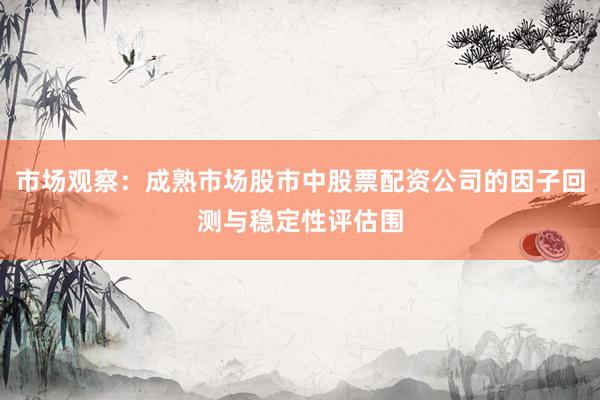市场观察：成熟市场股市中股票配资公司的因子回测与稳定性评估围