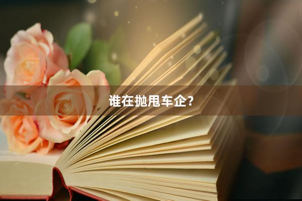 谁在抛甩车企？