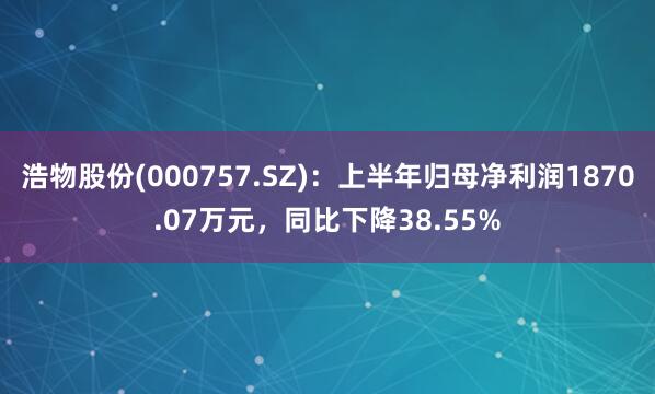 浩物股份(000757.SZ)：上半年归母净利润1870.07万元，同比下降38.55%