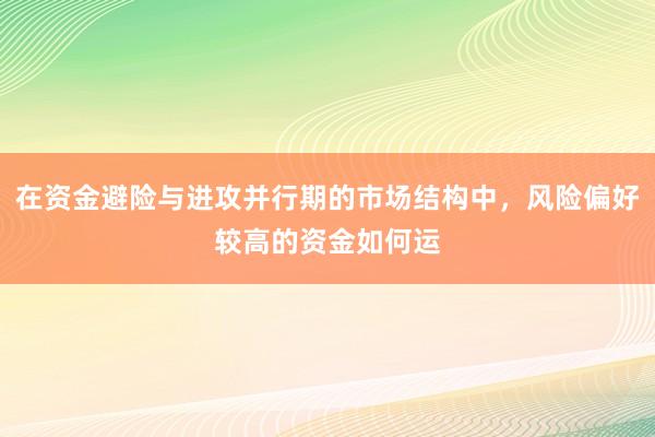 在资金避险与进攻并行期的市场结构中，风险偏好较高的资金如何运
