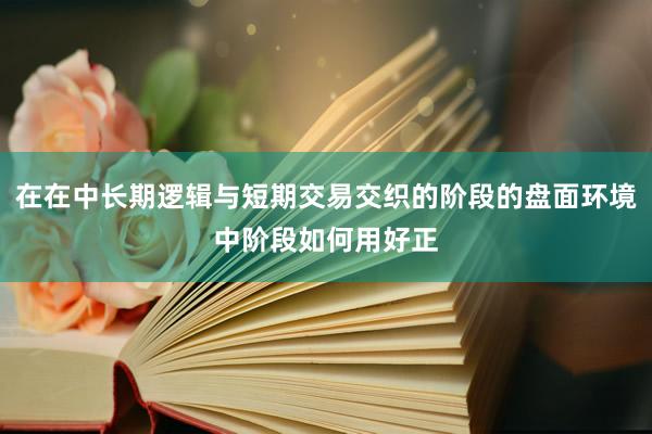 在在中长期逻辑与短期交易交织的阶段的盘面环境中阶段如何用好正
