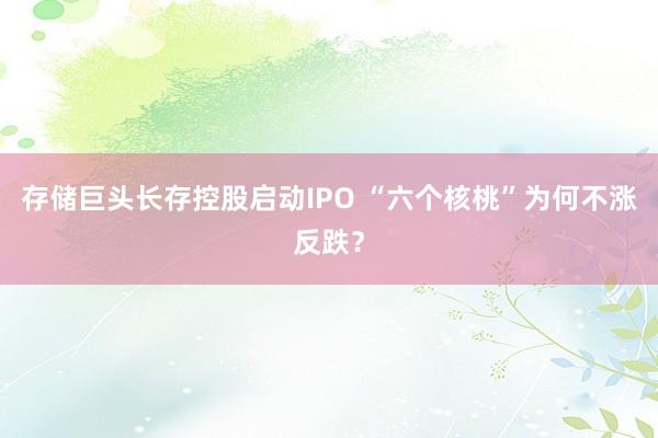 存储巨头长存控股启动IPO “六个核桃”为何不涨反跌？