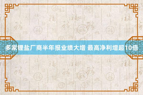 多家锂盐厂商半年报业绩大增 最高净利增超10倍