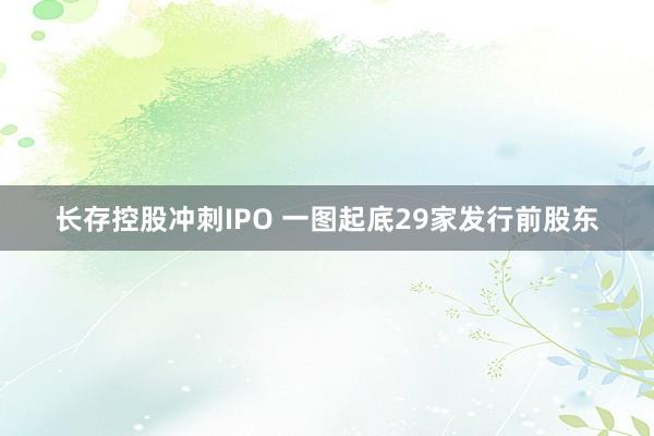 长存控股冲刺IPO 一图起底29家发行前股东