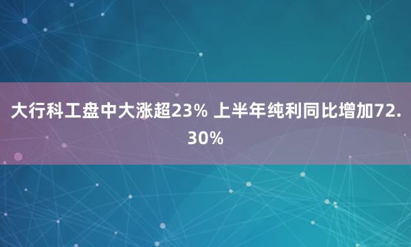 大行科工盘中大涨超23% 上半年纯利同比增加72.30%