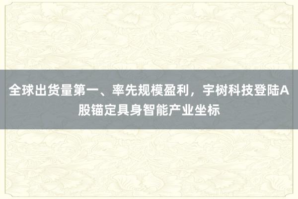 全球出货量第一、率先规模盈利，宇树科技登陆A股锚定具身智能产业坐标