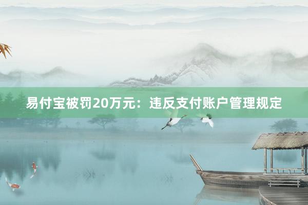 易付宝被罚20万元：违反支付账户管理规定