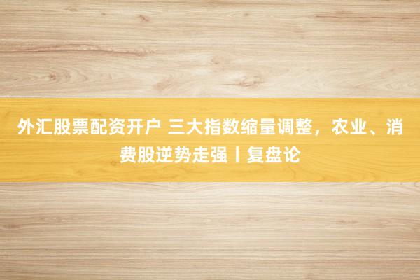外汇股票配资开户 三大指数缩量调整，农业、消费股逆势走强丨复盘论