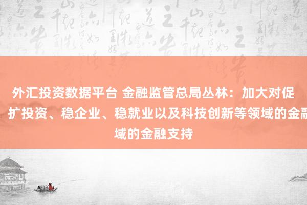 外汇投资数据平台 金融监管总局丛林：加大对促消费、扩投资、稳企业、稳就业以及科技创新等领域的金融支持
