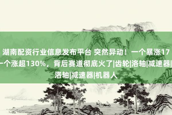 湖南配资行业信息发布平台 突然异动！一个暴涨176%，一个涨超130%，背后赛道彻底火了|齿轮|洛轴|减速器|机器人