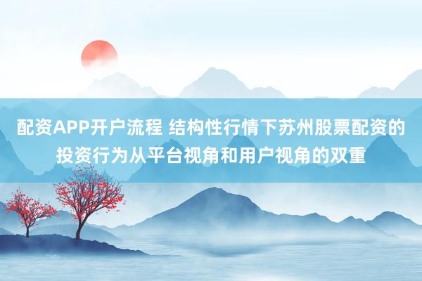 配资APP开户流程 结构性行情下苏州股票配资的投资行为从平台视角和用户视角的双重