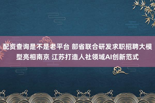 配资查询是不是老平台 部省联合研发求职招聘大模型亮相南京 江苏打造人社领域AI创新范式