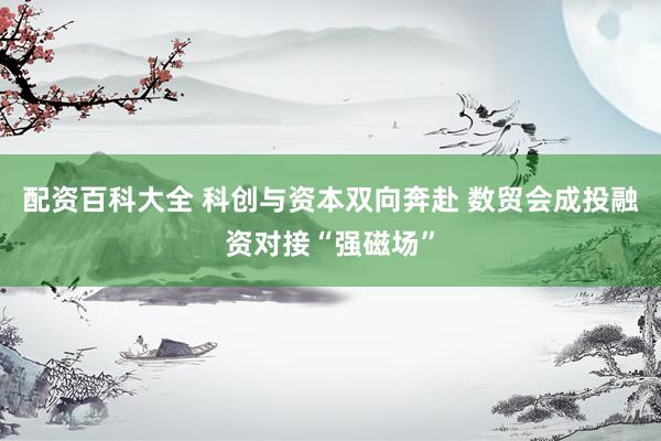 配资百科大全 科创与资本双向奔赴 数贸会成投融资对接“强磁场”