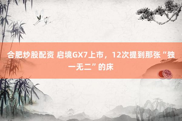 合肥炒股配资 启境GX7上市，12次提到那张“独一无二”的床