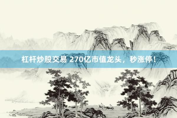 杠杆炒股交易 270亿市值龙头，秒涨停！