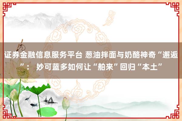 证券金融信息服务平台 葱油拌面与奶酪神奇“邂逅”： 妙可蓝多如何让“舶来”回归“本土”