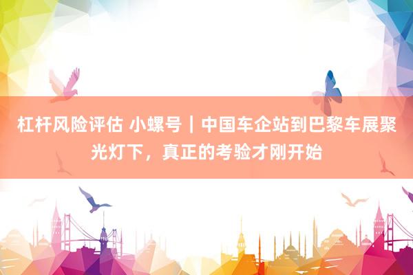 杠杆风险评估 小螺号｜中国车企站到巴黎车展聚光灯下，真正的考验才刚开始