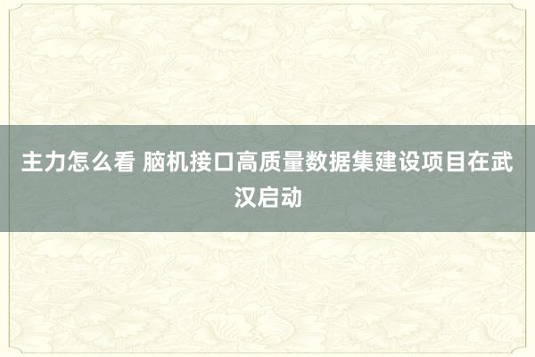 主力怎么看 脑机接口高质量数据集建设项目在武汉启动